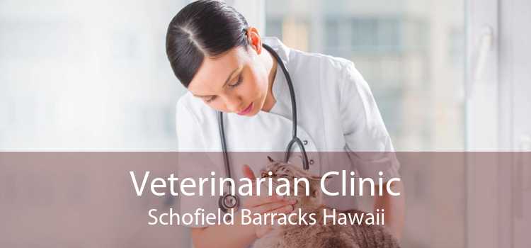 Veterinarian Clinic Schofield Barracks Hawaii