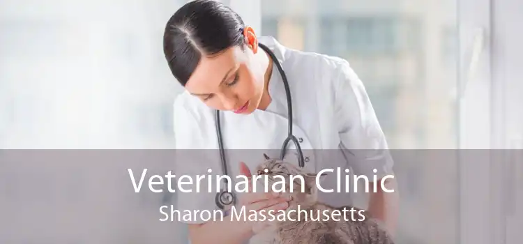 Veterinarian Clinic Sharon Massachusetts