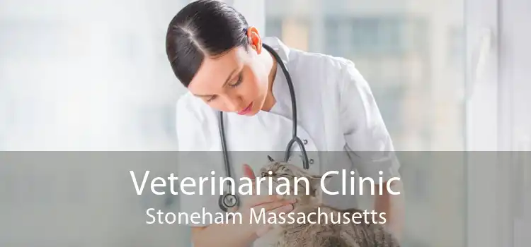 Veterinarian Clinic Stoneham Massachusetts