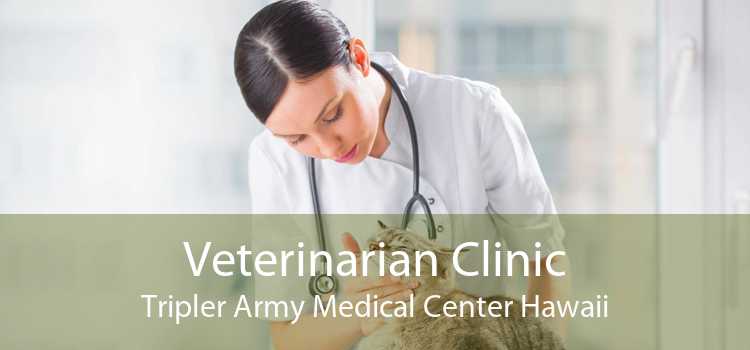 Veterinarian Clinic Tripler Army Medical Center Hawaii