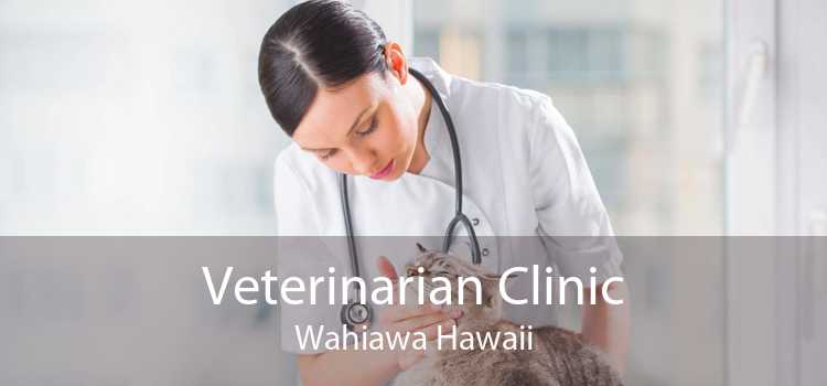 Veterinarian Clinic Wahiawa Hawaii