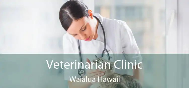 Veterinarian Clinic Waialua Hawaii