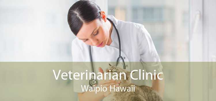 Veterinarian Clinic Waipio Hawaii