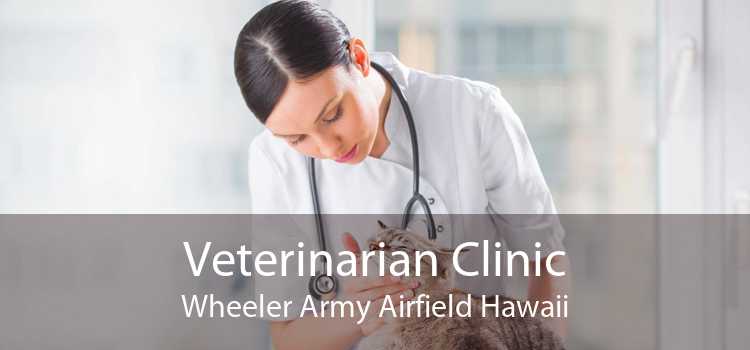Veterinarian Clinic Wheeler Army Airfield Hawaii