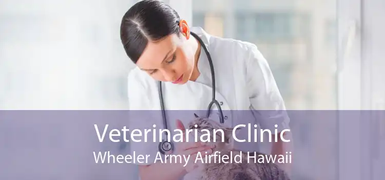 Veterinarian Clinic Wheeler Army Airfield Hawaii